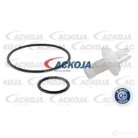 Масляный фильтр ACKOJA a380501 3 E9L1 4046001838606 1424351978 - Изображение 3