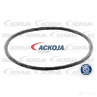 Масляный фильтр ACKOJA 4046001839610 a380503 JSS5H N 1424351980 - Изображение 3