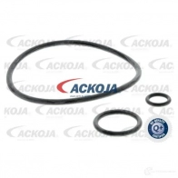 Масляный фильтр ACKOJA 1424351968 QIN PD7 4046001839832 a260502 - Изображение 3
