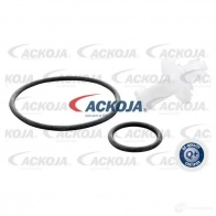 Масляный фильтр ACKOJA 1424352008 4046001838989 a700500 7F BEO - Изображение 2