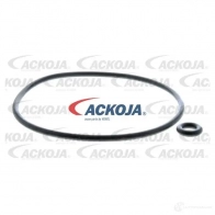 Масляный фильтр ACKOJA P9Q CGH a520119 1424351987 4062375077410 - Изображение 2