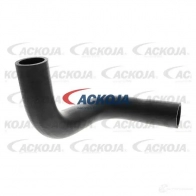 Патрубок радиатора, шланг ACKOJA N1I1ZH O 1437266846 a641607