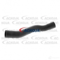 Патрубок радиатора, шланг ACKOJA E TOWA a371601 1437266831