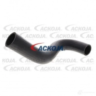 Патрубок радиатора, шланг ACKOJA DAU BV8 1437266848 a641608