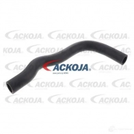 Патрубок радиатора, шланг ACKOJA a521605 1437266839 N FPA90