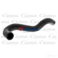 Патрубок радиатора, шланг ACKOJA 1437266842 a381602 YG C96DQ