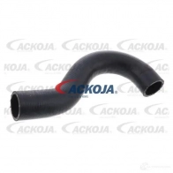 Патрубок радиатора, шланг ACKOJA 1437275394 a531600 TGKHZD M
