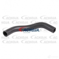 Патрубок радиатора, шланг ACKOJA 1437266832 GL AQ4TW a641610
