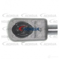 Амортизатор багажника, упор задней двери ACKOJA B VVAYVX 1424311512 a530150 4062375068395 - Изображение 3