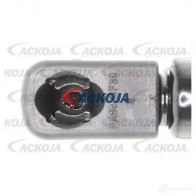 Амортизатор багажника, упор задней двери ACKOJA QO NSEW a510058 1424311478 4062375068319 - Изображение 3