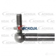 Амортизатор багажника, упор задней двери ACKOJA 1424311452 a370098 4062375069422 4C K3WNM - Изображение 3