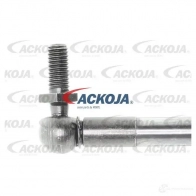 Амортизатор багажника, упор задней двери ACKOJA a370097 IO BJY 1424311451 4062375070985 - Изображение 3