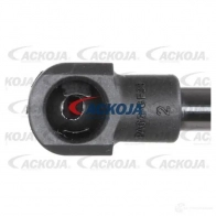 Амортизатор багажника, упор задней двери ACKOJA 4062375072958 a370157 ZZP53 LQ 1424311453 - Изображение 2