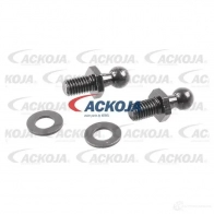 Амортизатор багажника, упор задней двери ACKOJA a520062 1424311481 531W SW 4062375069958 - Изображение 2