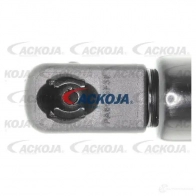 Амортизатор багажника, упор задней двери ACKOJA a520062 1424311481 531W SW 4062375069958 - Изображение 4