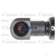 Амортизатор багажника, упор задней двери ACKOJA GZ2J Q 1424311543 4062375069743 a700194 - Изображение 2