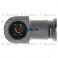 Амортизатор багажника, упор задней двери ACKOJA EWN 1F4 4062375069439 a380037 1424311454 - Изображение 2