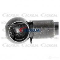 Амортизатор багажника, упор задней двери ACKOJA EWN 1F4 4062375069439 a380037 1424311454 - Изображение 3