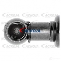 Амортизатор багажника, упор задней двери ACKOJA 4062375068470 1424311502 3W 8C3 a520313 - Изображение 2