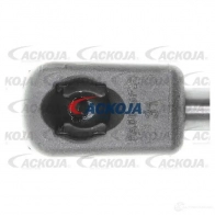 Амортизатор багажника, упор задней двери ACKOJA 4062375070039 a530010 1424311505 HGBR 2 - Изображение 2