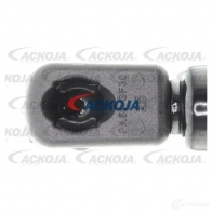 Амортизатор багажника, упор задней двери ACKOJA 4062375070039 a530010 1424311505 HGBR 2 - Изображение 3