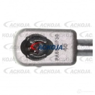 Амортизатор багажника, упор задней двери ACKOJA W6L LMH4 a320134 1424311437 4062375070879 - Изображение 2