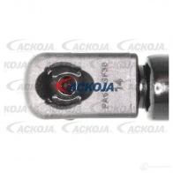 Амортизатор багажника, упор задней двери ACKOJA 1424311435 E QR5PQ6 a320132 4062375070855 - Изображение 2