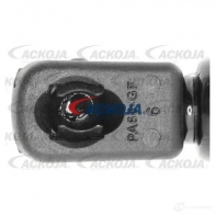 Амортизатор багажника, упор задней двери ACKOJA 1424311457 ZW BV09 a380070 4062375069460 - Изображение 2