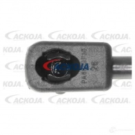 Амортизатор багажника, упор задней двери ACKOJA P61GDN 7 1424311522 a640093 4062375068425 - Изображение 2