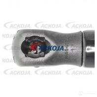 Амортизатор багажника, упор задней двери ACKOJA 4EQ T7 a520094 1424311491 4062375069859 - Изображение 3