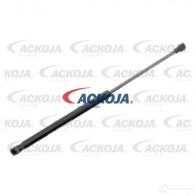 Амортизатор багажника, упор задней двери ACKOJA a700491 4062375068449 0Q01W FY 1424311549 - Изображение 1