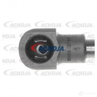 Амортизатор багажника, упор задней двери ACKOJA 1424311541 4062375073047 QDBHJ J a700192 - Изображение 2