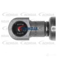 Амортизатор багажника, упор задней двери ACKOJA UI D9EM a700196 1424311545 4062375069767 - Изображение 3
