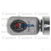Амортизатор багажника, упор задней двери ACKOJA a520155 4062375068296 1424311501 PFXB PXX - Изображение 2