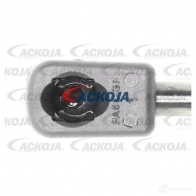 Амортизатор багажника, упор задней двери ACKOJA 4062375069842 FVJCR O 1424311490 a520093 - Изображение 2