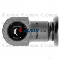 Амортизатор багажника, упор задней двери ACKOJA 1437288416 P M2PX a260085 - Изображение 3