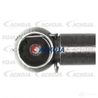 Амортизатор багажника, упор задней двери ACKOJA 4062375070800 a320092 1424311430 FHF Y5 - Изображение 3