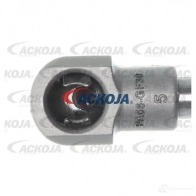 Амортизатор багажника, упор задней двери ACKOJA R6H53A P 4062375069552 1424311472 a380134 - Изображение 2