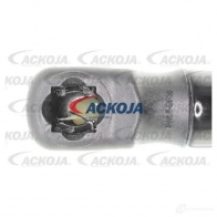 Амортизатор багажника, упор задней двери ACKOJA 822 FRJ a520096 4062375069873 1424311493 - Изображение 3