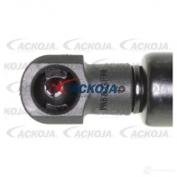 Амортизатор багажника, упор задней двери ACKOJA a260185 1437288543 ST9N 3 - Изображение 2
