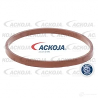 Дроссельная заслонка ACKOJA 4062375073832 a52810002 Q77SCY B 1424375122 - Изображение 3