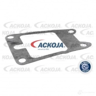 Дроссельная заслонка ACKOJA IR9 TY7 a38810009 4062375073955 1424375119 - Изображение 4