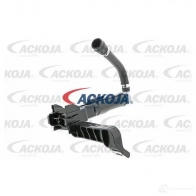 Форсунка омывателя фар ACKOJA Y0AQ YK 1424965298 4062375089727 a70080016