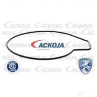 Водяной насос, помпа ACKOJA 27 K3RVS 4062375037346 1424604202 a3750002 - Изображение 2