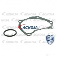 Водяной насос, помпа ACKOJA 4062375037476 a5250004 B GS9O 1424604250 - Изображение 2