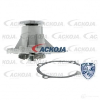 Водяной насос, помпа ACKOJA a3850002 S FWEQ 1424604211 4062375037384