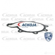 Водяной насос, помпа ACKOJA a3250006 4062375037261 1D ZNI 1424604188 - Изображение 2