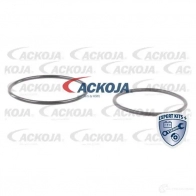 Водяной насос, помпа ACKOJA 1424604274 a6450003 BHJ JZ84 4062375037568 - Изображение 2