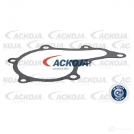 Водяной насос, помпа ACKOJA UKQX 4PS 1424604281 4062375060252 a700707 - Изображение 2