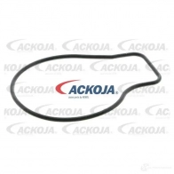Водяной насос, помпа ACKOJA E1FXV1 E a2650006 1437298760 - Изображение 2